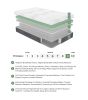 12" Twin Mattress Green Tea Gel-Infused Memory Foam Hybrid Mattress, Plush Foam Pocket Coils, Mattress in a Box, Comfortable Sleep Mattress