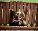 NEW Bull Terrier and Santa Claus Throw Pillow Machine Washable, Indoor Outdoor Decorative Pillow for Couch, Bed or Patio, 14Hx14W