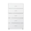 White 5-Drawer Chest with Single Handles