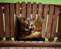 Schnauzer and Santa Claus Throw Pillow Machine Washable, Indoor Outdoor Decorative Pillow for Couch, Bed or Patio, 14Hx14W